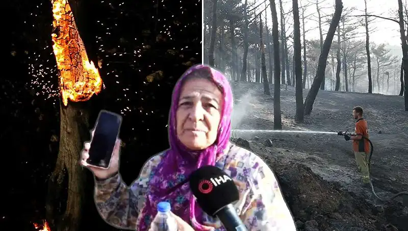 Çanakkale'deki Orman Yangınları Kontrol Altına Alındı: Kayıp Nedir?
