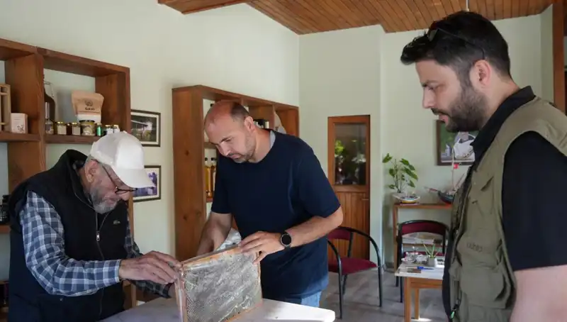 Şifa ve Zehir Arasında: Kimyasal Özellikleriyle Tehlikeli Bir Besin