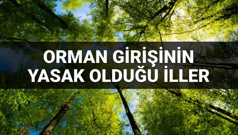 2025 Yılına Özel: Hangi İllerde Ormana Girmek Yasaklandı?