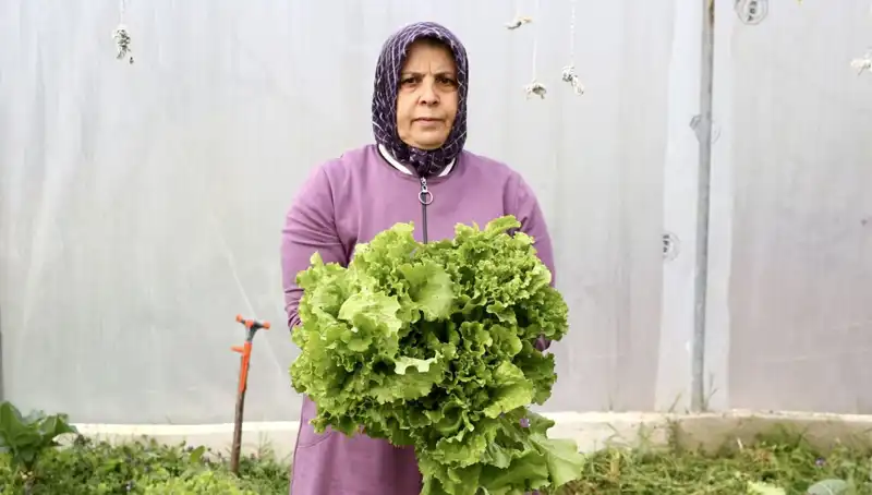 Emekli Olup Memleketine Dönerek Hayalini Gerçekleştirenler İçin İlham Verici Bir Hikaye