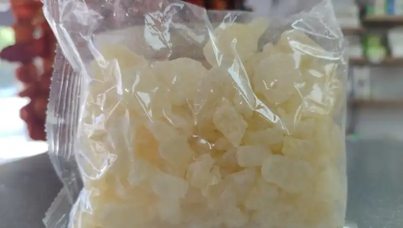Kilosu 10 Bin Lira Olan Bu Bitki, Mide Sorunlarına Derman Oluyor