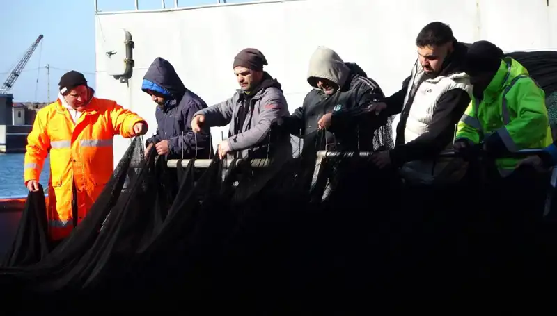 Hamsi Avı Sonlandırıldı: Tekneler İhtiyaç Duydukları Balığı Bulamıyor