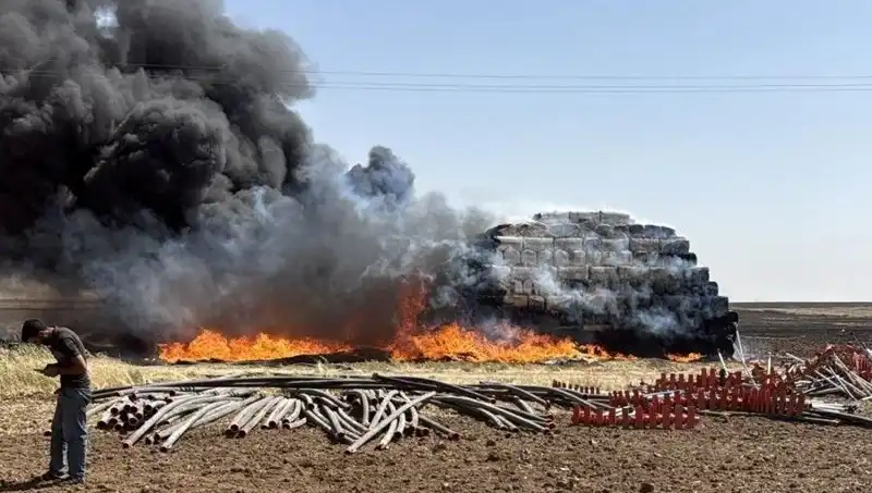 Mardin'de Anız Yangını: Doğa ve Tarım İçin Tehlike
