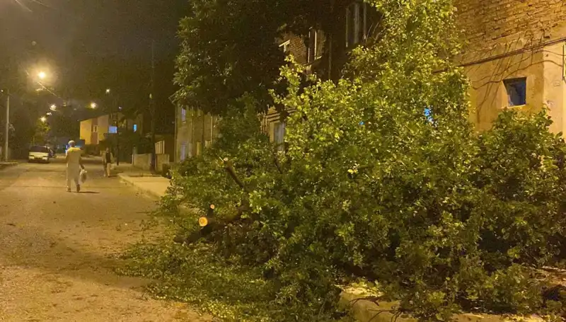 Karabük'te Şiddetli Fırtına: Doğa Savaş Açtı!