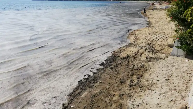 Müsilajla Mücadelede Şok Gelişme: 268 İşletme Kapatıldı