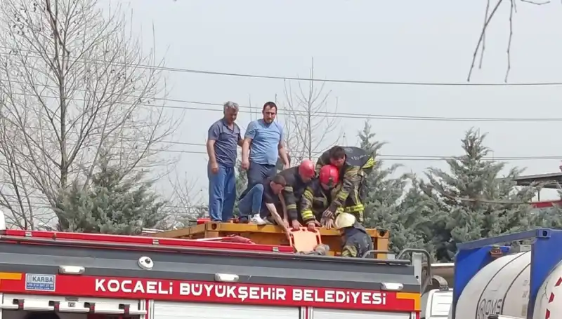 Tehlikeli Madde Taşıyan TIR Tankına Düştü: Korkunç Kazada Bir Yaralı