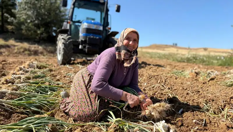 Dünyanın En Değerli Selenyum Kaynağı: Türk Tarımında Bambaşka Bir Başarı