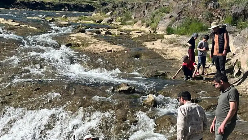 İnci Kefali Göçü: Sıra Dışı Doğa Olayı Turizmi Canlandırıyor!