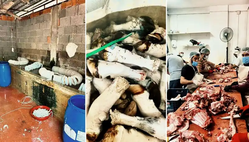 Adana'da Şok Eden Operation: Yüzlerce Kilo Yasa Dışı Paça Ele Geçirildi!