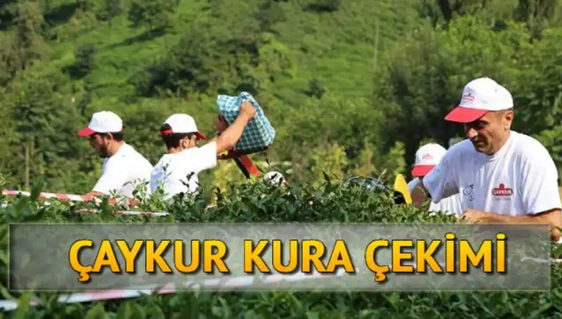 Çaykur Kura Sonuçları Açıklandı: Canlı Kura Sayfası ile İsimleri Öğrenin!