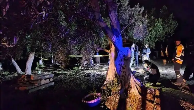 Çiftlikteki Baltalı Vahşetiyle İlgili İlk Tutuklama Gerçekleşti
