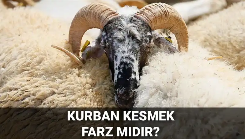 Kurban Kesmek Farz mı? Diyanet'in Hükmü ve Şartları Neler?