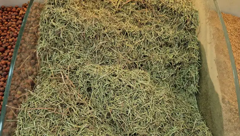 Yaz Aylarının Gelişiyle Tehlikeli Ürünlerin İnternet Satışı Artıyor!