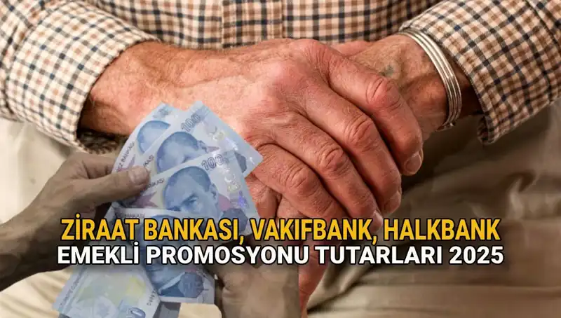 Emekli Maaşı Promosyonları 2025: Kamu Bankaları Ne Sunuyor?