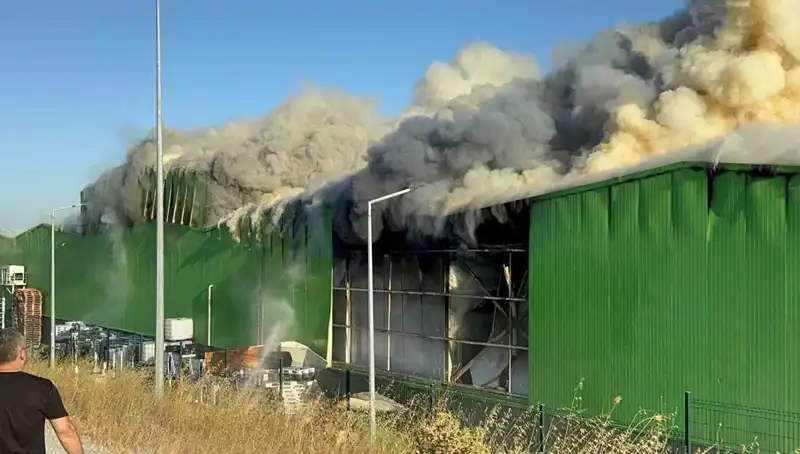 Balıkesir'deki Fabrika Yangını: İki İşçi Hayatını Kaybetti, 1 Kişi Tutuklandı