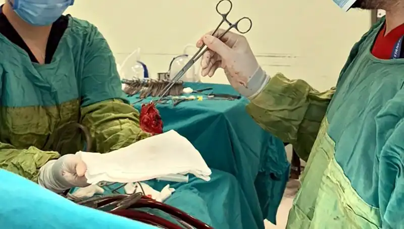 Kalp Kapağı Çürümüş: 7 Saat Süren Ameliyatla Hayata Döndü!