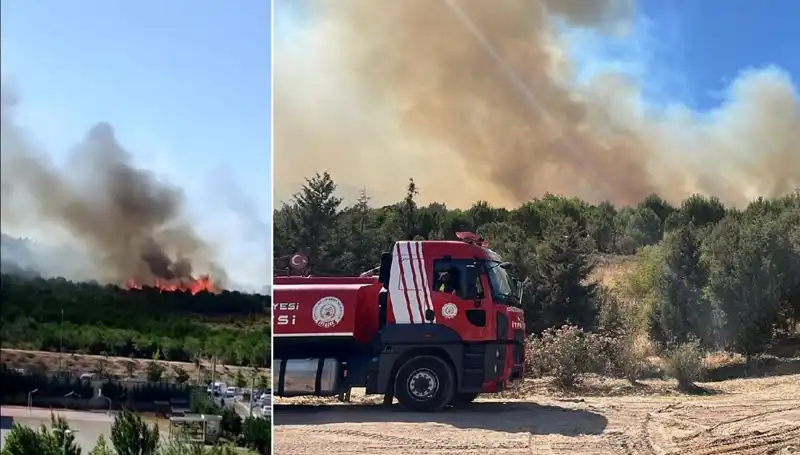 Gebze'de Şok Eden Orman Yangını: Hızla Yayılıyor!